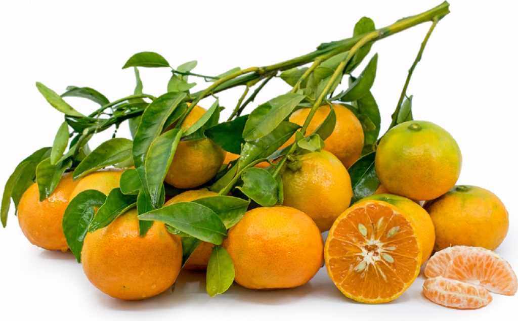 Encore-Tangerine.