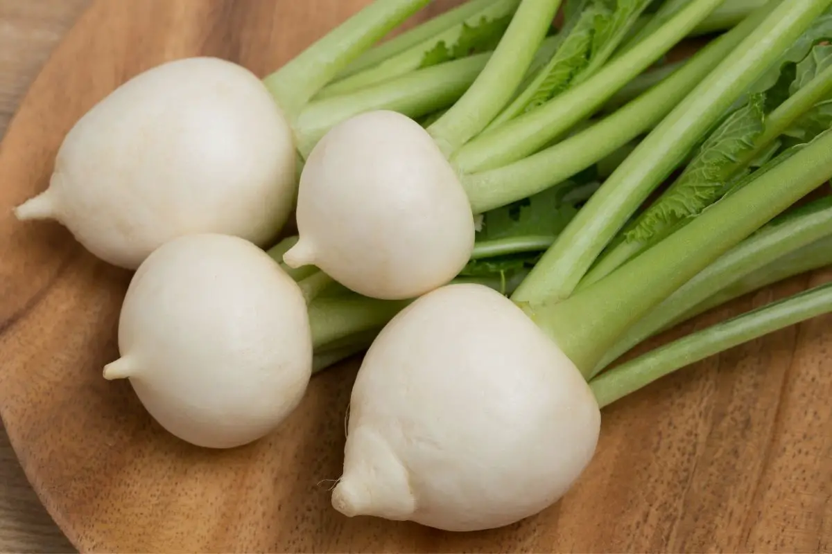 The White Is Over: A Guide To White Veggies