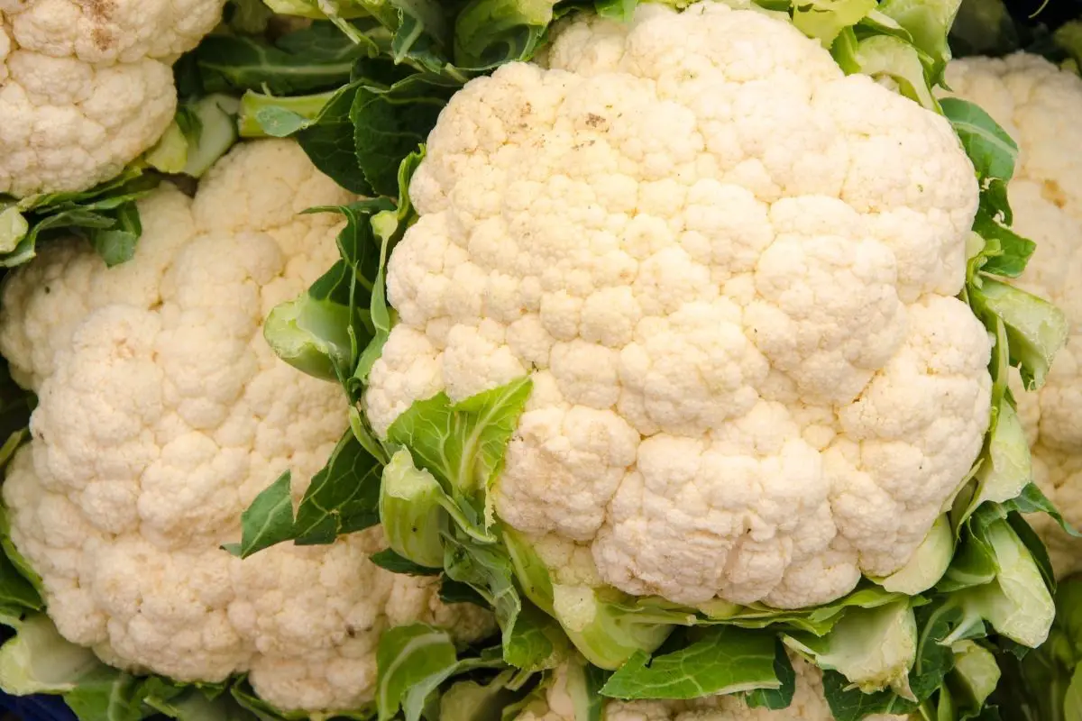 The White Is Over: A Guide To White Veggies