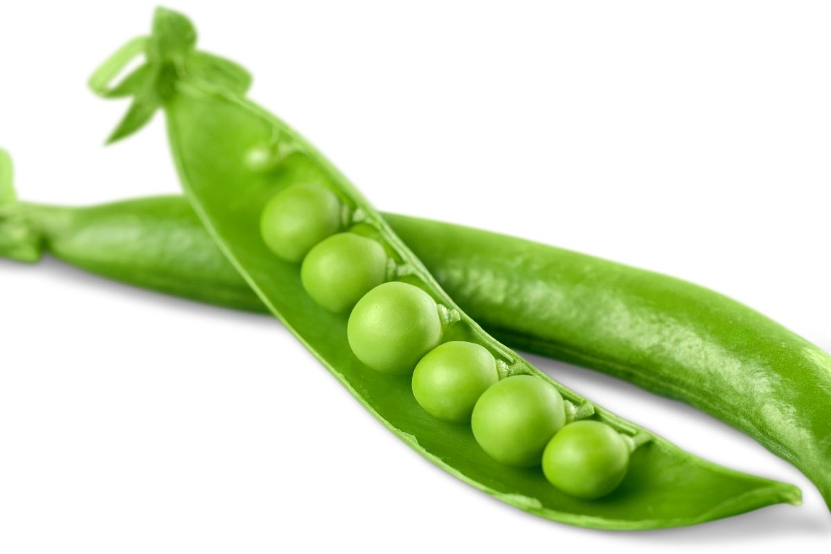 Types of green veggies