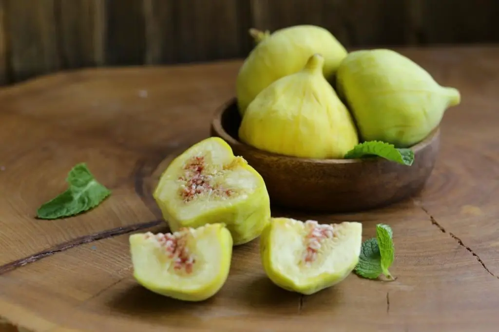 Yellow Fig