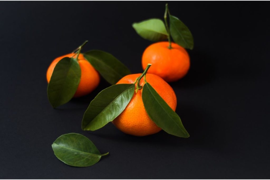 Kinnow Tangerine