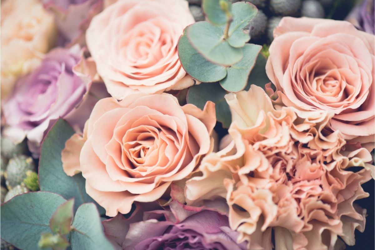 Make The Most Of Your Roses: How To Make Your Flowers Last
