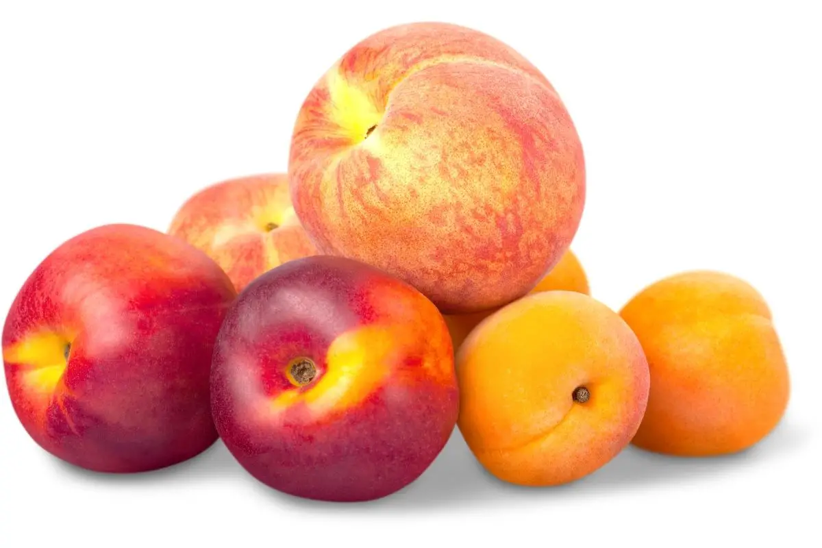 Peaches Fruits with Low Carbs