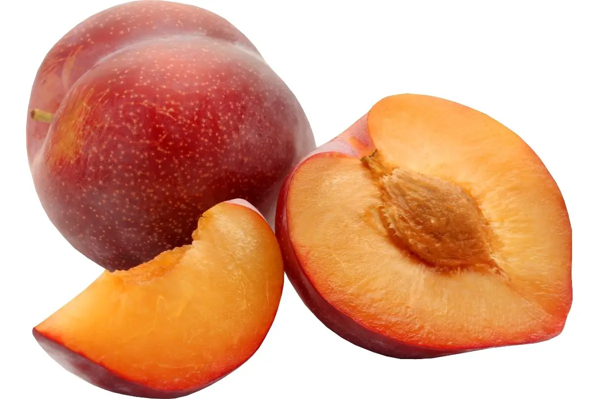 Plum Fruits with Low Carbs