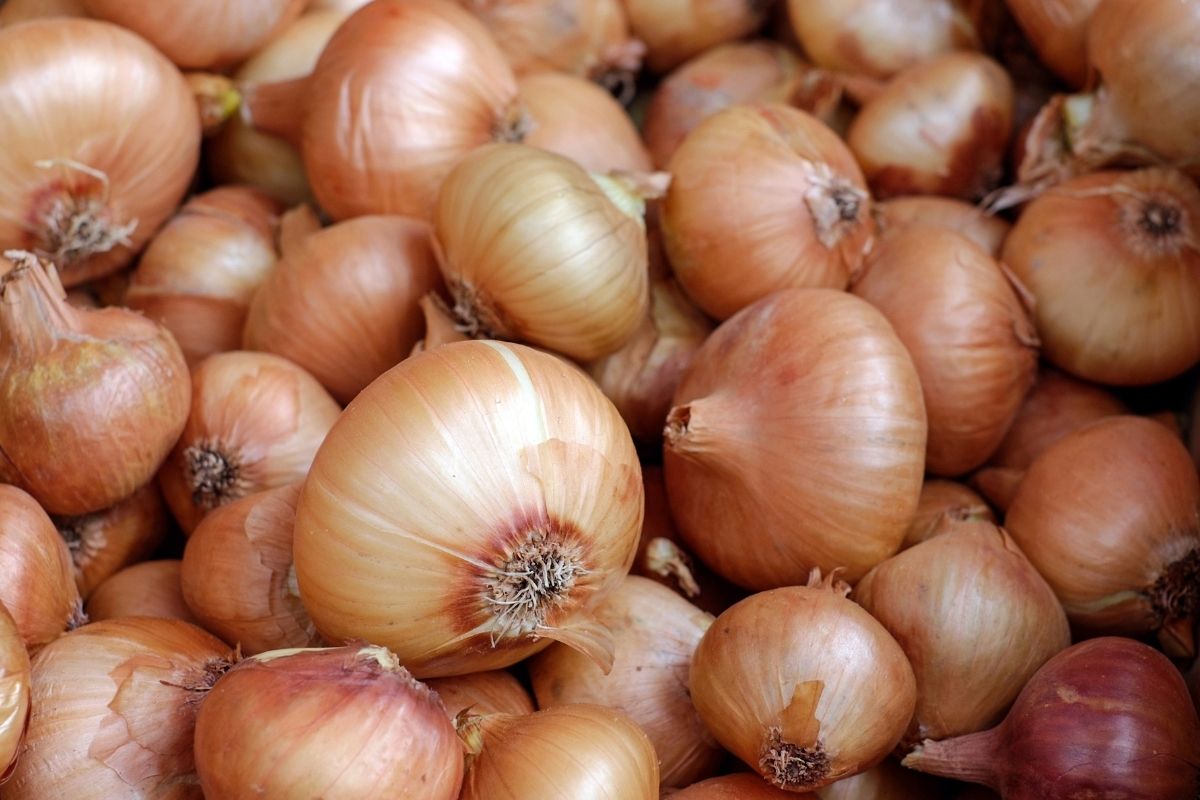 O Is For Onions: Outstanding Veggies That Start With 'O'