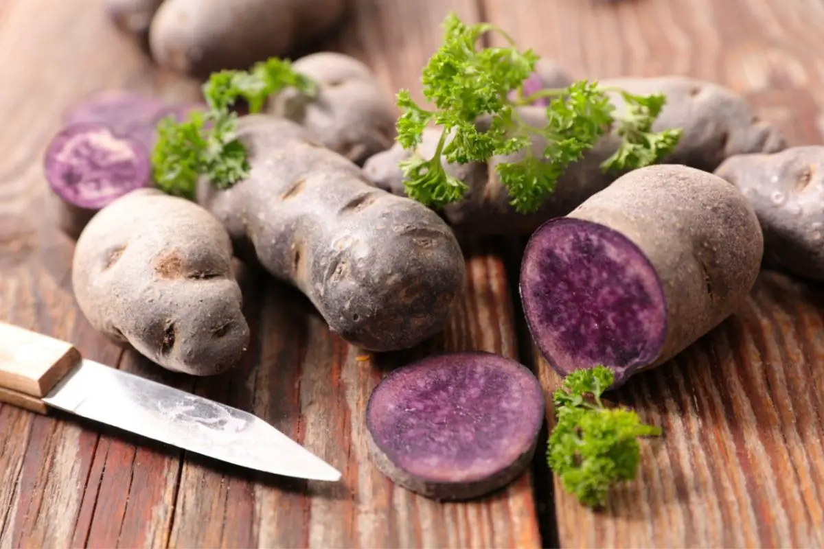 The Color Purple: The Ultimate Guide To Purple Colored Veggies