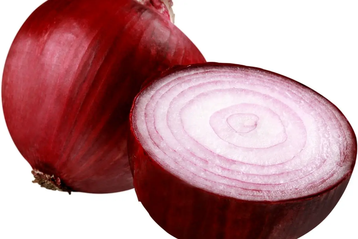 Sibuyas - Onion