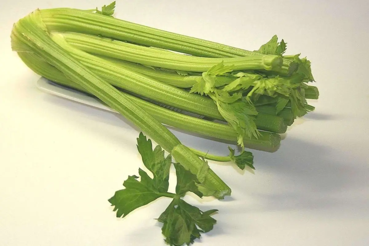 Rau Can (Water Celery)