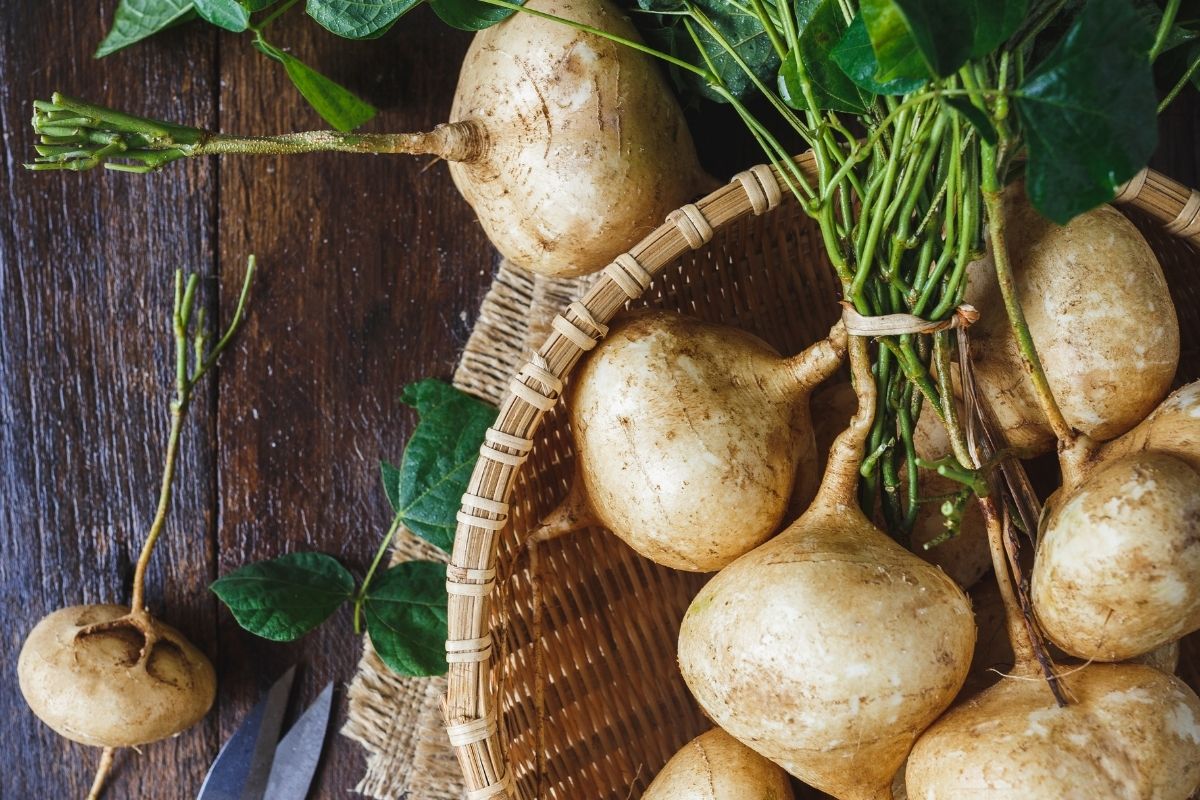 Y Is For Yam: Yummy Veggies That Start With 'Y'