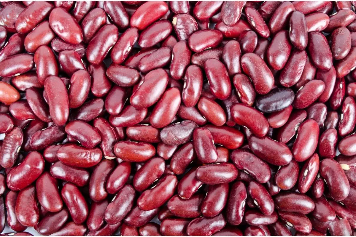 Sangre de Toro (kidney beans) mexican vegetables