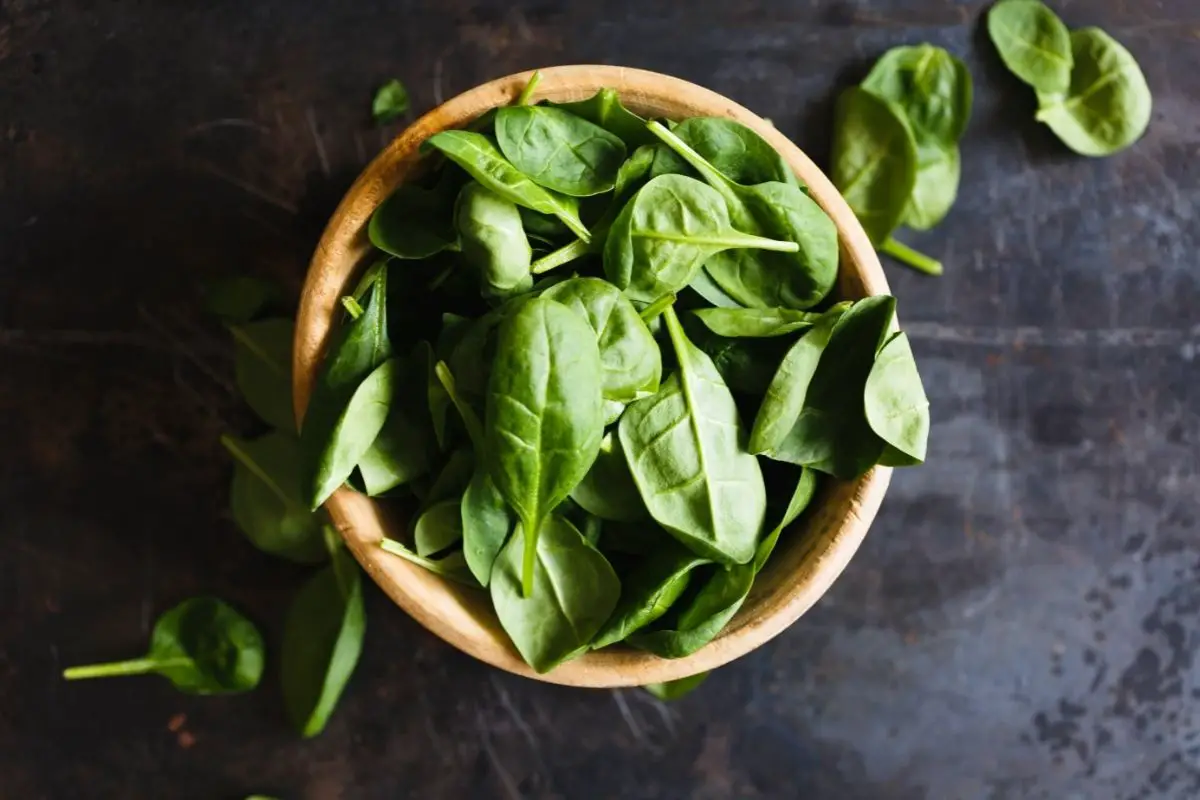 Step-By-Step Guide On How To Properly Prune Basil Plants