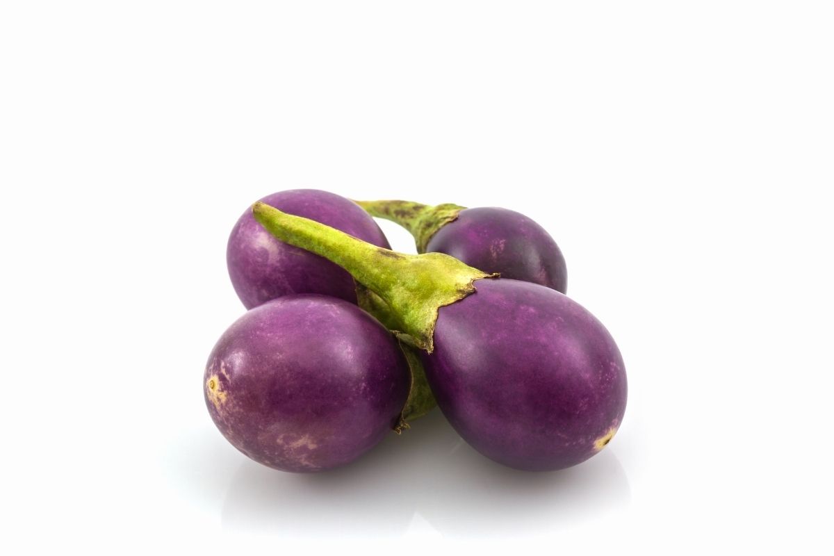 Thai Eggplant