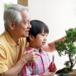 Taking Care: How to Look After a Bonsai Tree