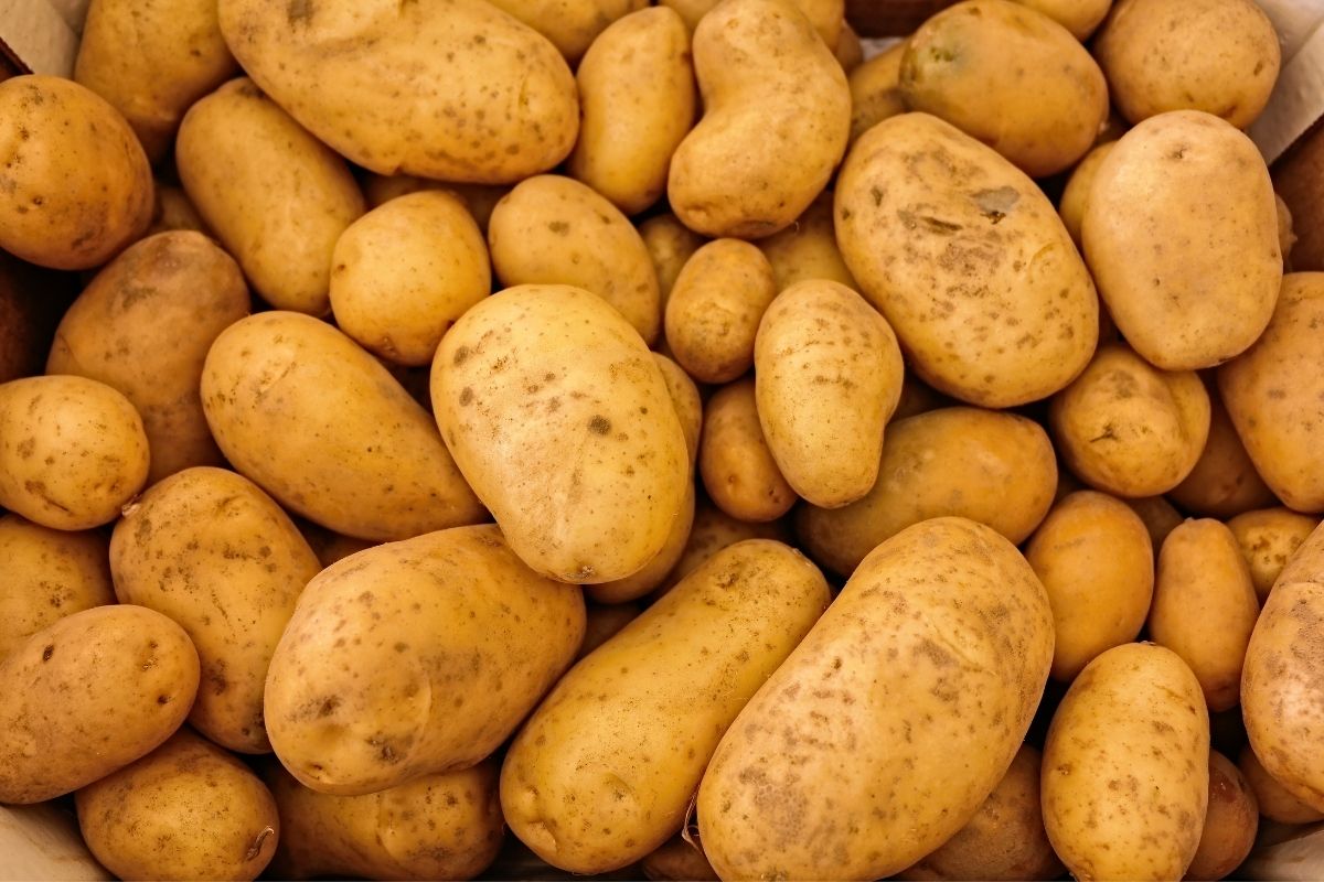 Ulster Emblem Potato