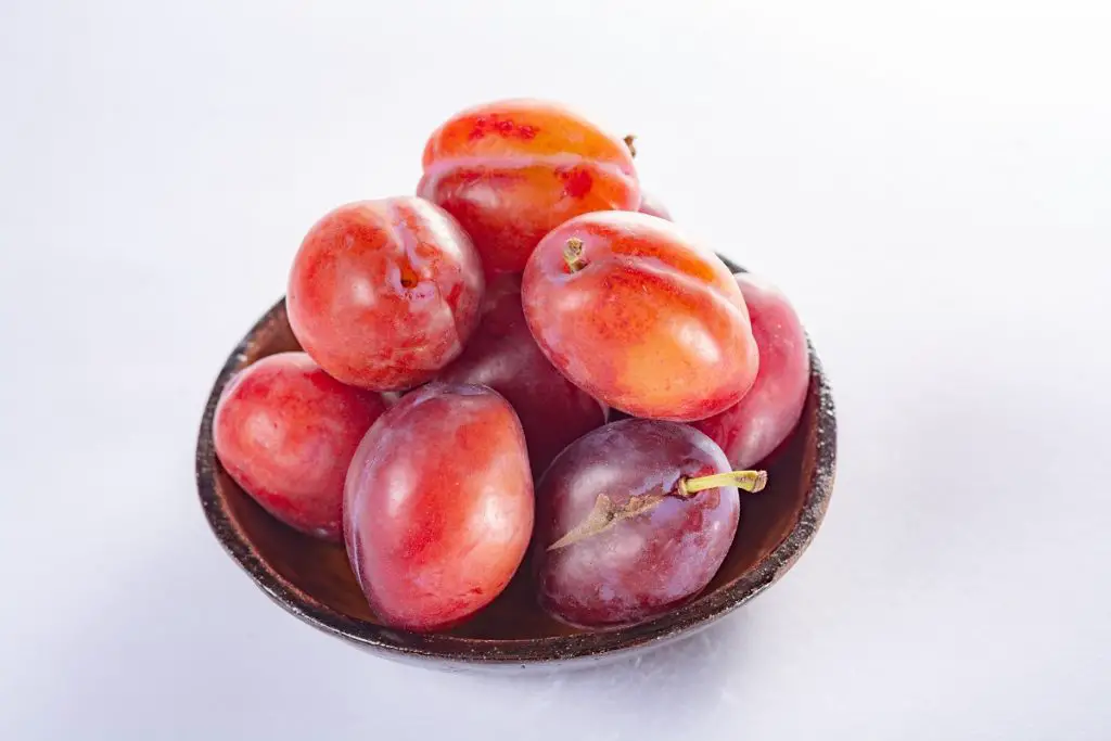 Group,Of,Ripe,Oval,Victoria,Plums,From,England,On,White
