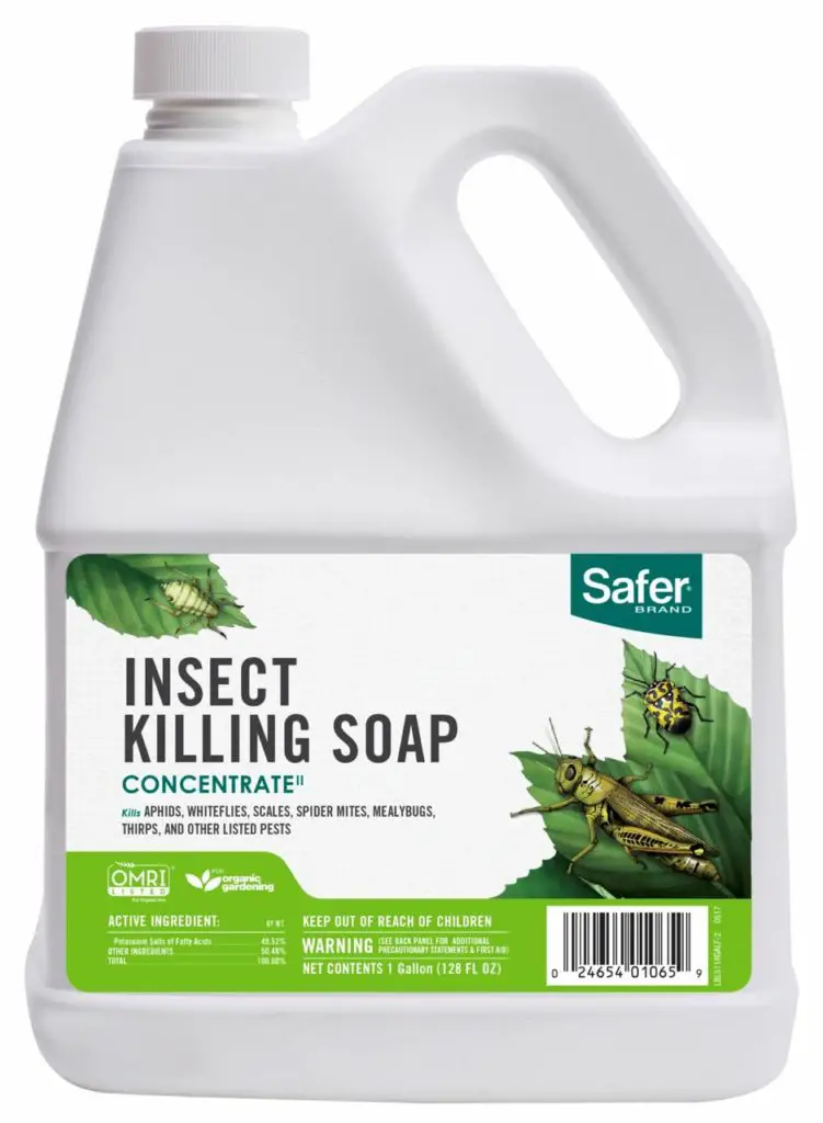 Insect killing soap