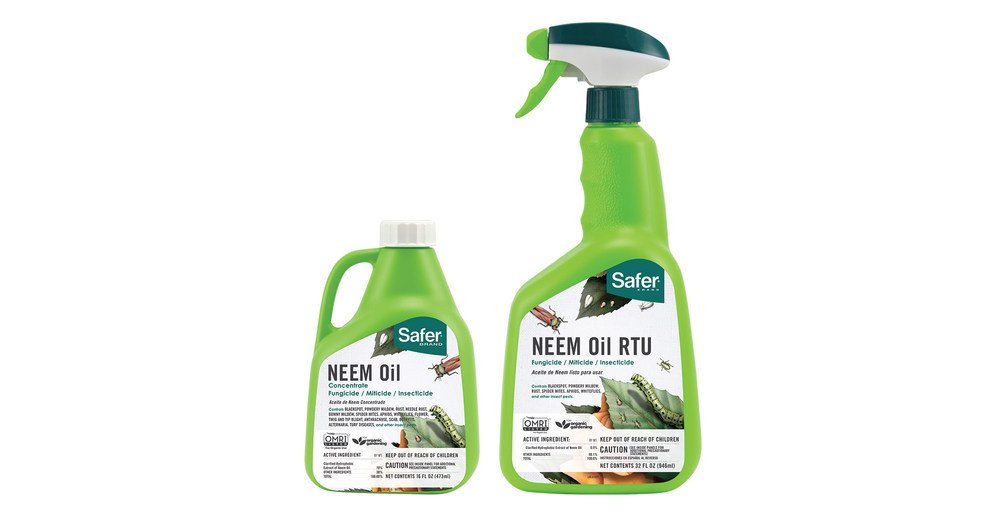 Neem oil as organic pest control