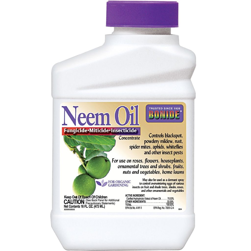 Neem oil spray for fungus gnats