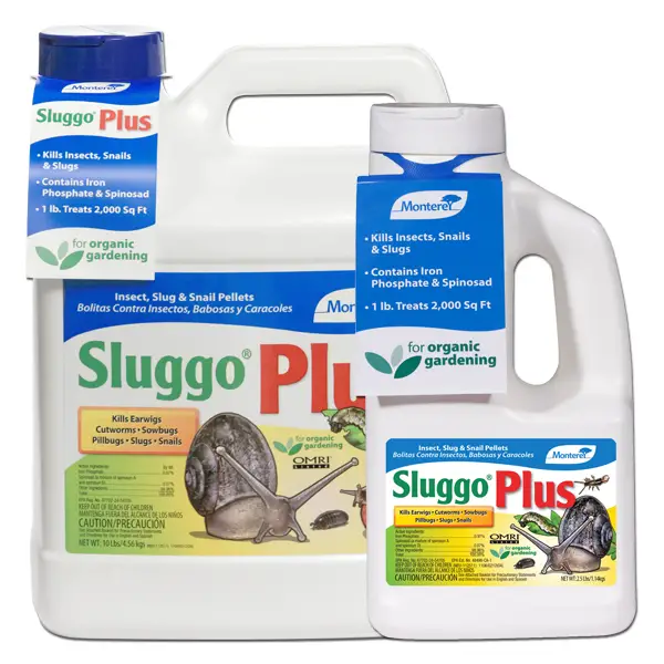 Sluggo plus - for slug eggs in soil