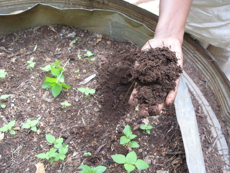 Compost fertilizer