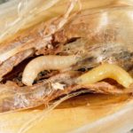 Root Maggots: How to Get Rid of Root Eating Insect Pest Naturally?