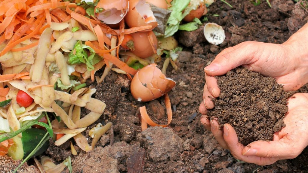 Best worms for composting