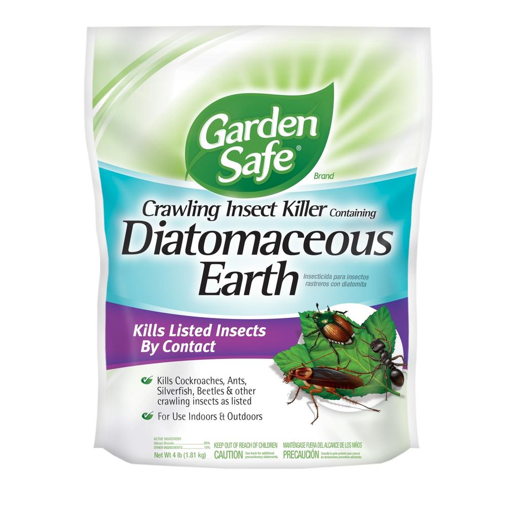 Diatomaceous earth - how to get rid of earwigs