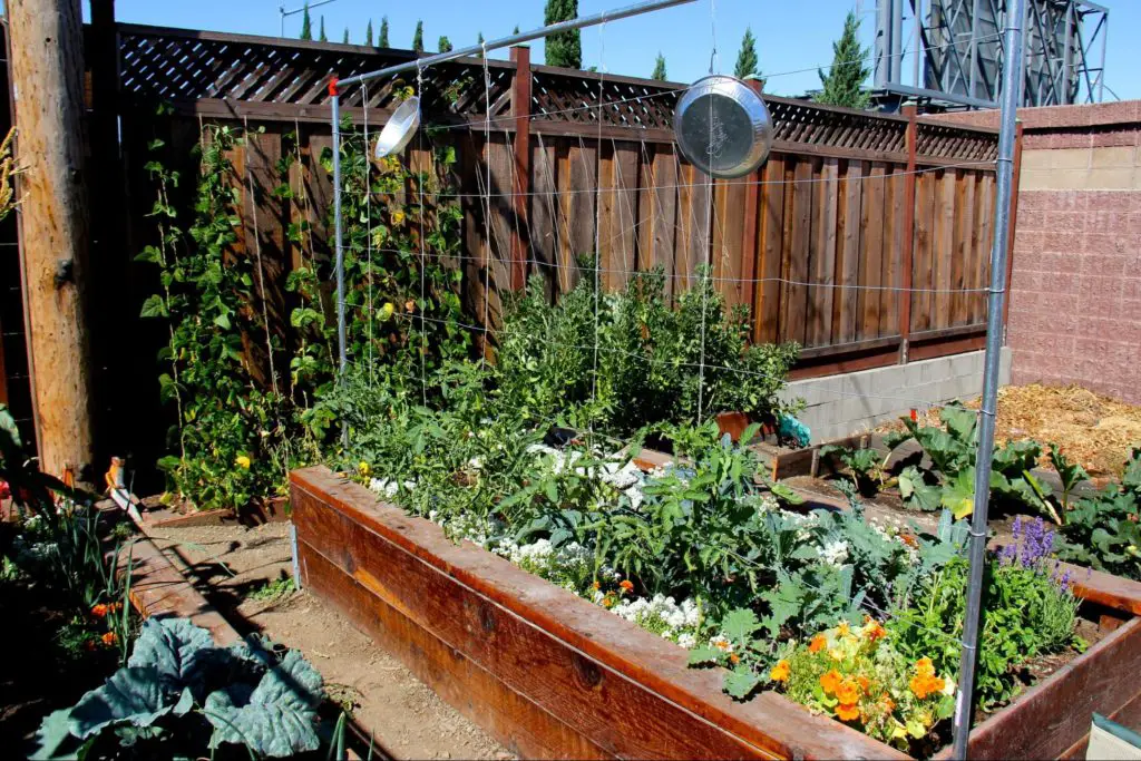 Healthy garden