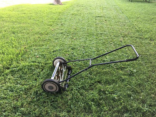 Lawn mower - make bermuda grass thicker