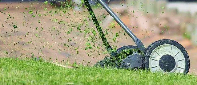 Mowing Bermuda grass