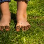 Top 10 Super Easy And Effective Ways Of Fixing A Muddy Yard