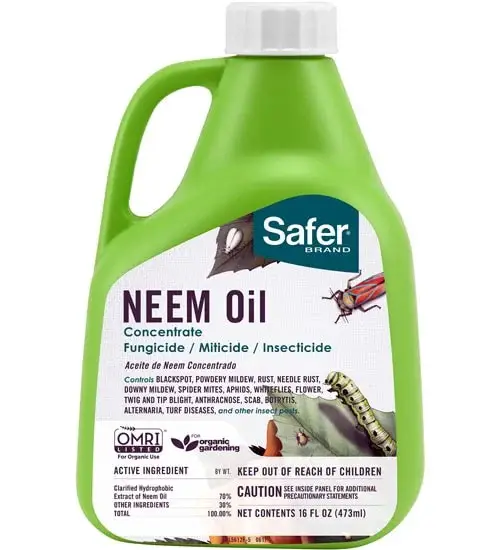 Neem oil concentrate