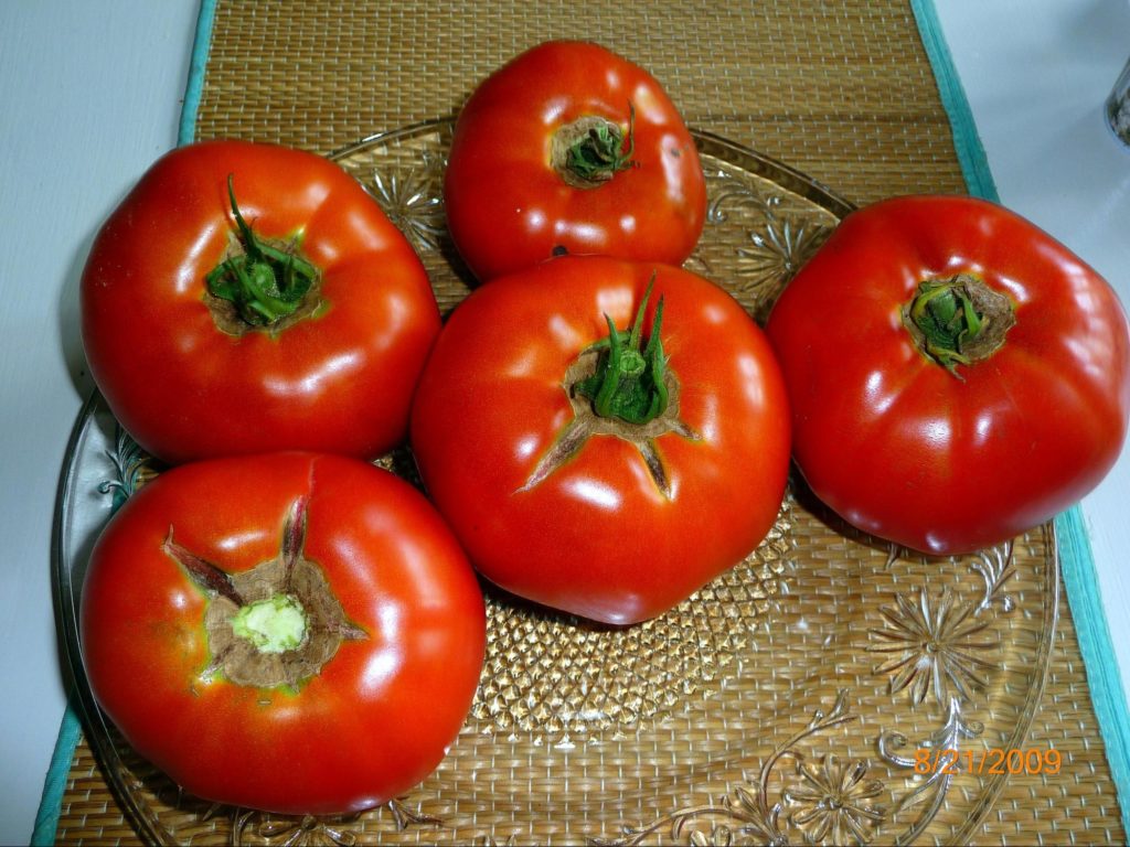Tomato fruit - epsom salt for plants