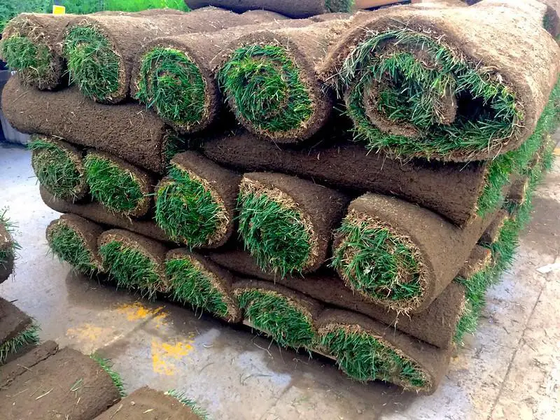 how many square feet in a pallet of sod