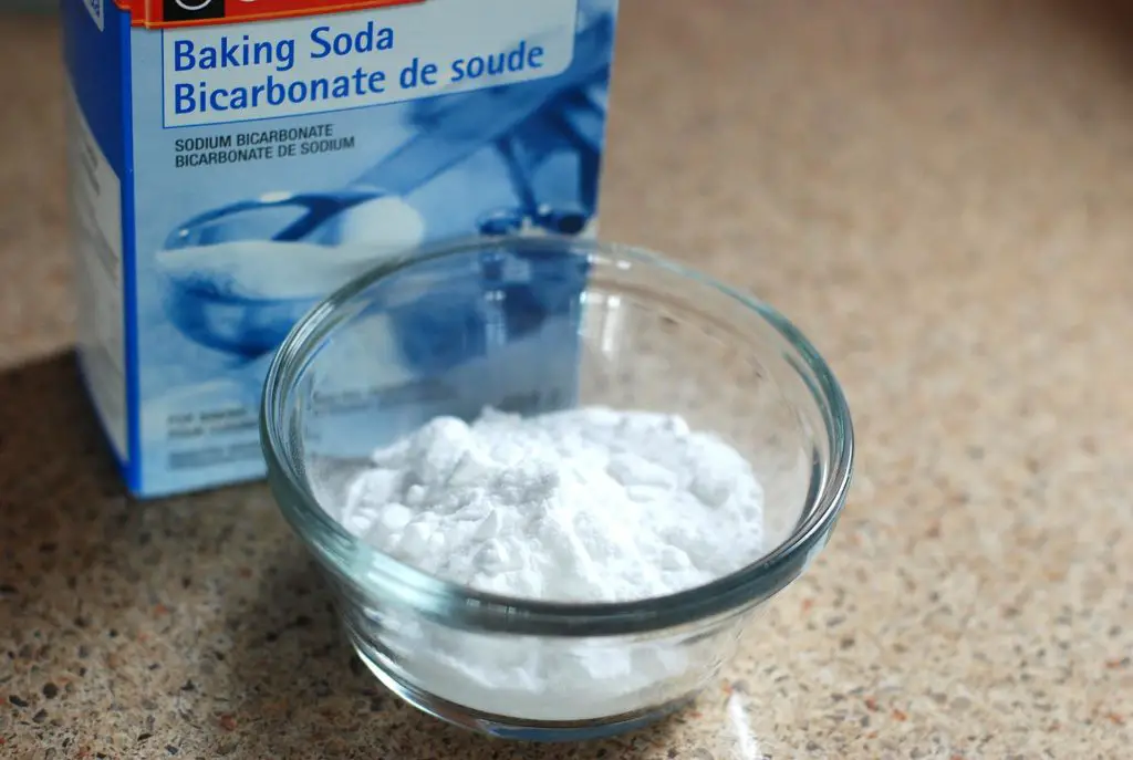 how to treat plant fungus with baking soda