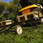 Dethatching St. Augustine Grass: A Complete Step By Step Guide