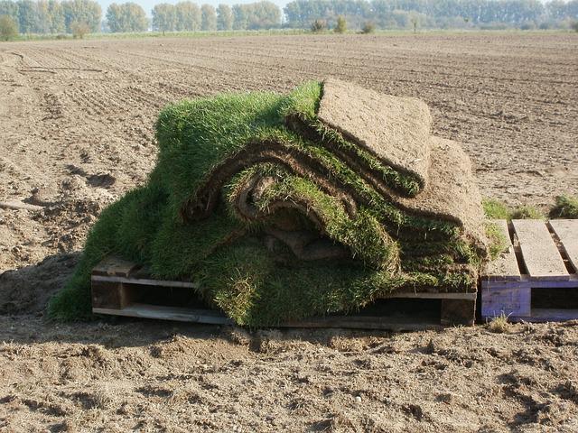 Tips For Purchasing Sod Pallets - how many square feet in a pallet of sod
