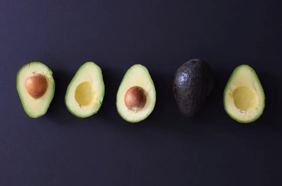 A Complete Guide on How To Grow An Avocado From Seed