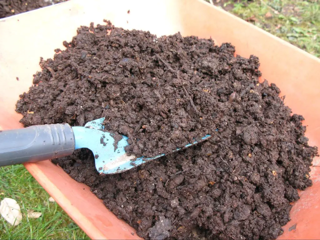 Compost - source of potassium for houseplants