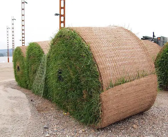 How Much Does A Roll Of Sod Weigh?