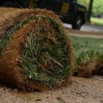 How Much Does Sod Weigh? Transporting & Taking Care Of Your Sod