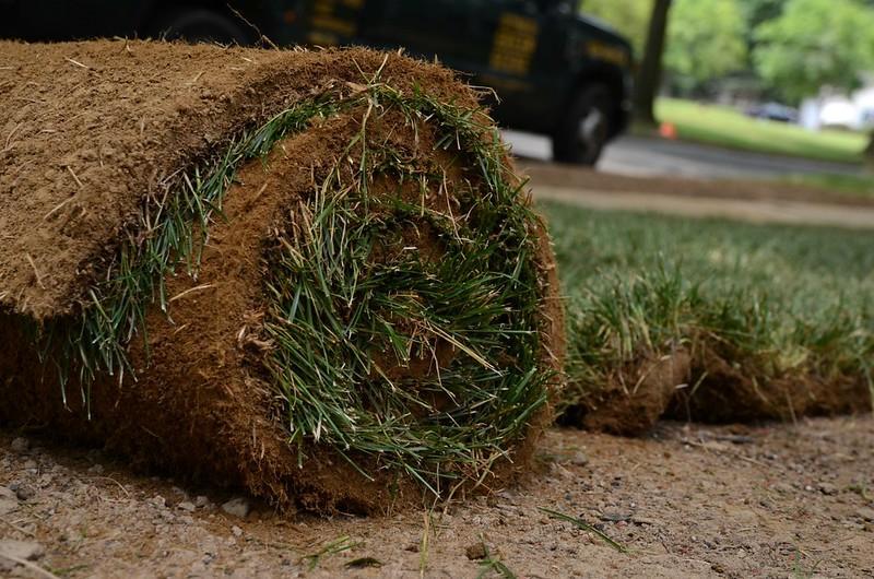 How Much Does a Roll of Sod Weigh