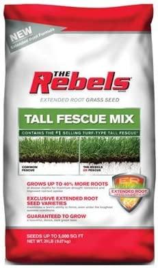 Pennington The Rebels Tall Fescue Grass Seed