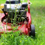 Push Mower Vs. Self-Propelled | How To Choose & Which Is Best For Your Lawn?
