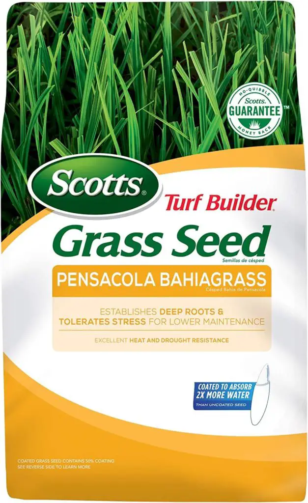 Scotts Turf Builder Grass Seed Pensacola Bahia Grass