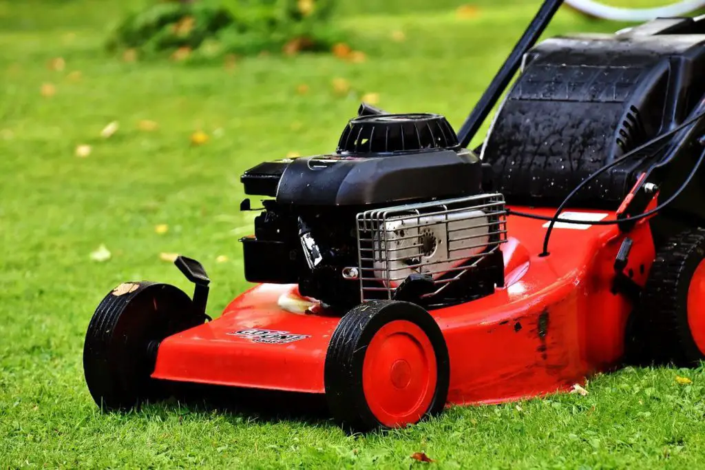Starting A Lawn Mower That Has Been Sitting For Years | A Complete Guide