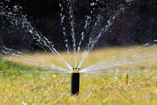 Water The Lawn