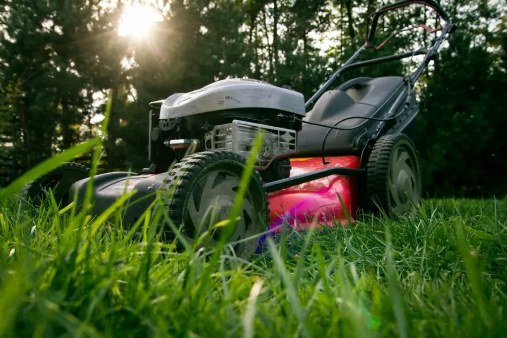 What Is The Best Mowing Season, Height & Frequency For Bermuda Grass