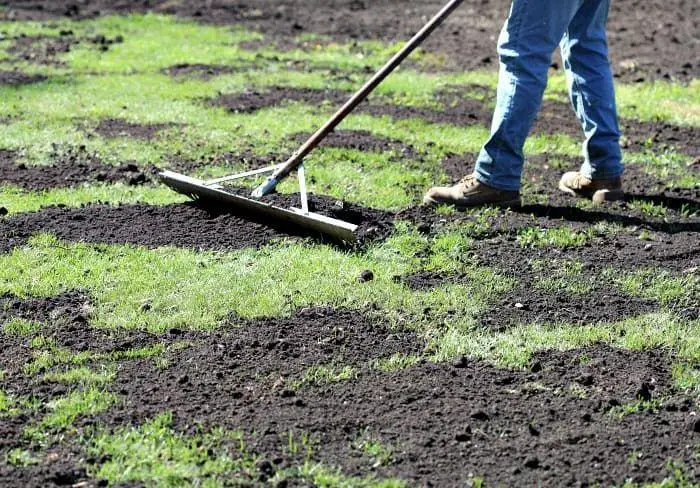 What is Turf & Lawn Top Dressing?